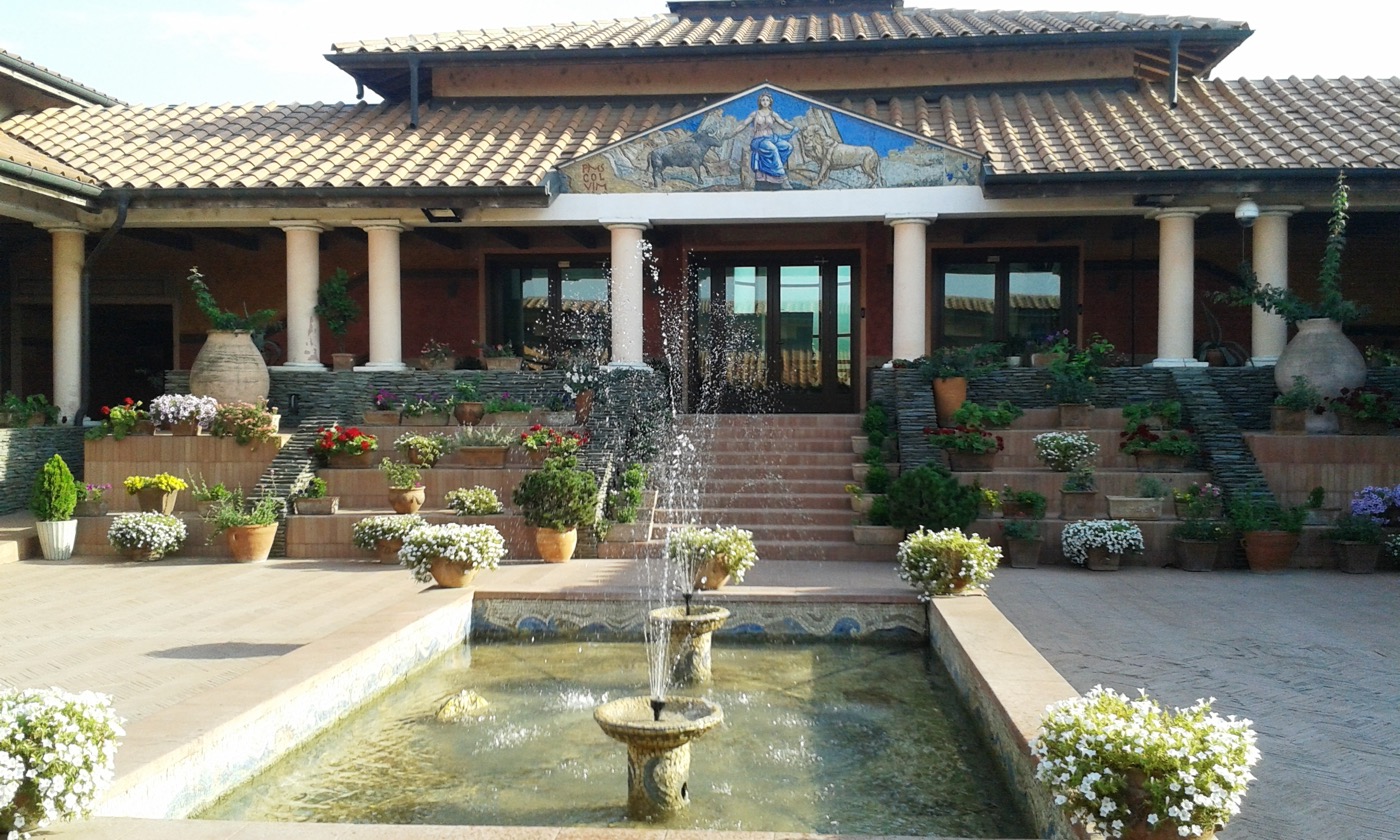 Fontana ispred Domvs Scientiarvm Viminacivm