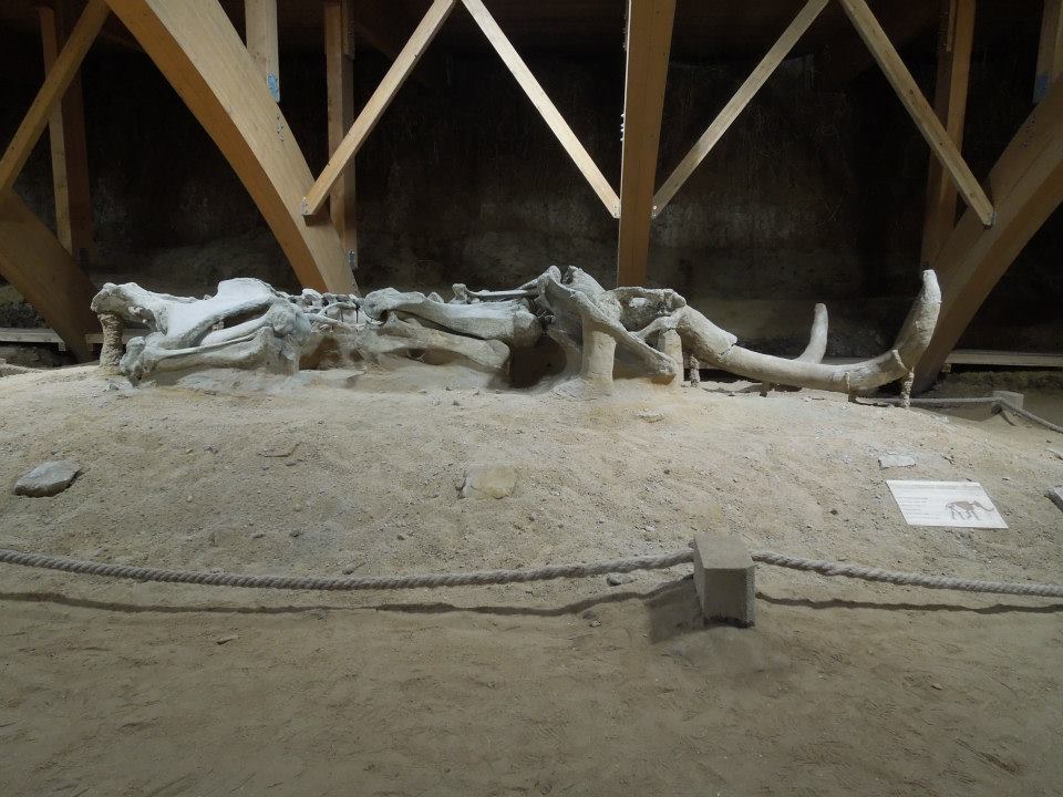 Domvs Scientiarvm Viminacivm — pogled na arhitektonski kompleks