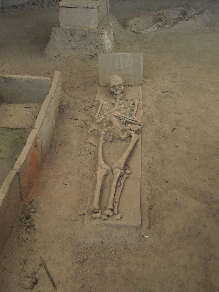 Domvs Scientiarvm Viminacivm — arhitektonski detalj